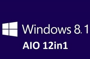 1380702642_windows-8.1-aio-12in1 1380702642_windows-8.1-aio-12in1