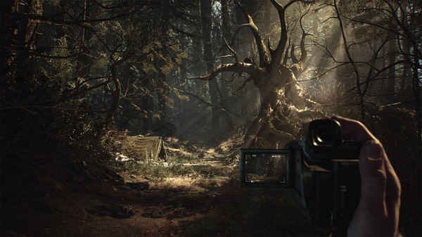 Blair-Witch-1.jpg