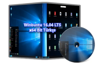 dvd dvd