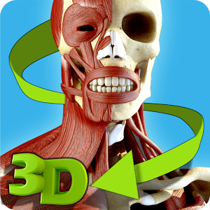 Easy Anatomy 3D Apk Full Easy Anatomy 3D Apk Full
