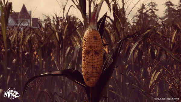maize maize