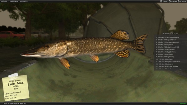 fish fish