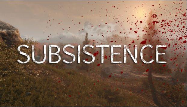subsistence subsistence